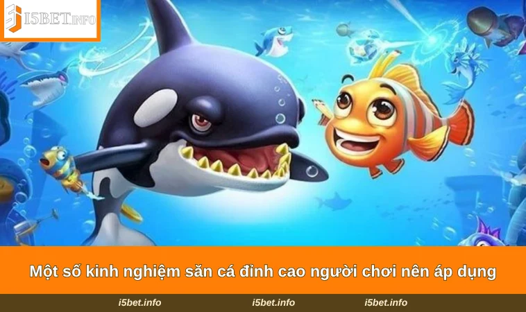 Một số kinh nghiệm săn cá đỉnh cao người chơi nên áp dụng