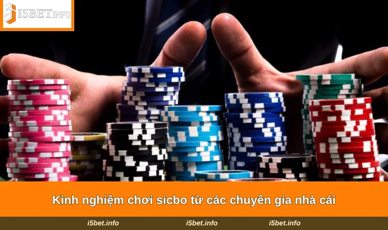 Kinh nghiệm chơi sicbo từ các chuyên gia nhà cái